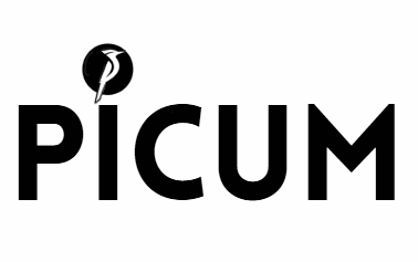 Picum Studio
